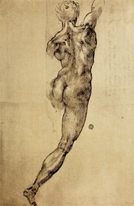 研究从米开朗基罗画的背面看到的男性形象。 Casa Buonarroti，佛罗伦萨 作者 米开朗基罗（Michelangelo Buonarroti）